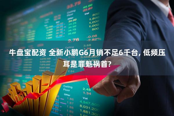 牛盘宝配资 全新小鹏G6月销不足6千台, 低频压耳是罪魁祸首?