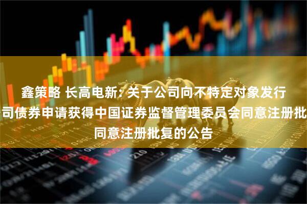 鑫策略 长高电新: 关于公司向不特定对象发行可转换公司债券申请获得中国证券监督管理委员会同意注册批复的公告